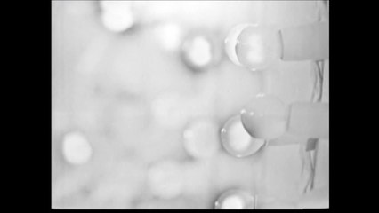 Sylvie Vartan L'enfant aux papillons HD+Paroles