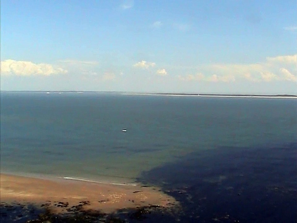 Cordouan-Bancs de sable (34)