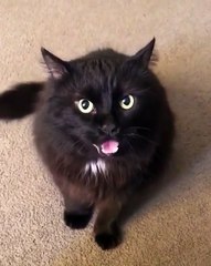 She barely made it alive