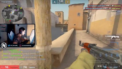 ScreaM shows some nice headshot aim!