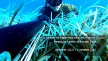 Spearfishing in the Aeolian Islands 2017 HD