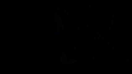 These knives look really awesome! Which one is your favorite?