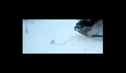 Rusya'da yolcu uçağı düştü: '71 ölü'