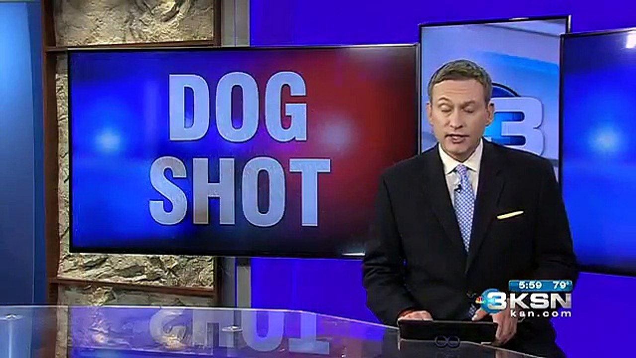 Cop Shoots Service Dog
