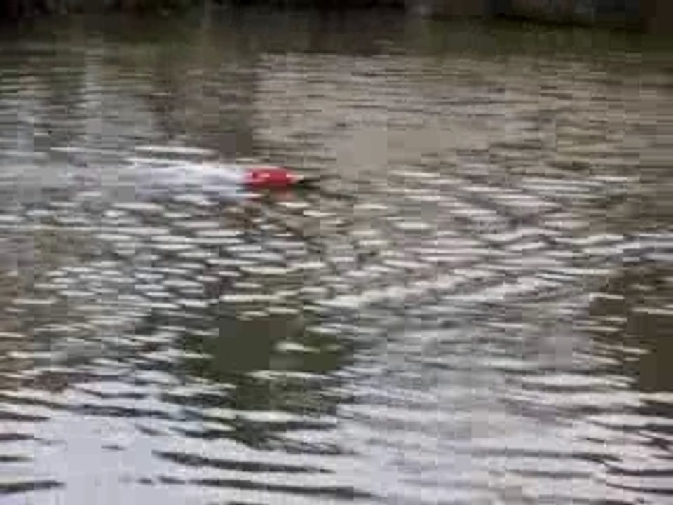 Poulpito run scratch