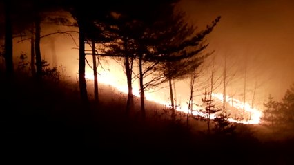'건조·강풍 특보' 강원도 삼척 등 산불 잇따라 / YTN
