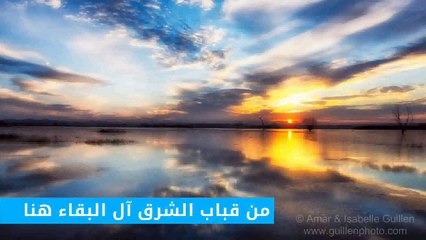 قصيدة غرباء دنهاغ للدكتور الشاعر جمال الخالدي من وجدة المغرب