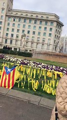 Los separatistas agreden a una chica que iba a quitar la basura de lazos que han puesto