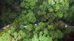 Costa Rica's reforestation efforts promising