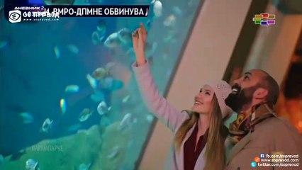 Paramparce 231 2 DEL