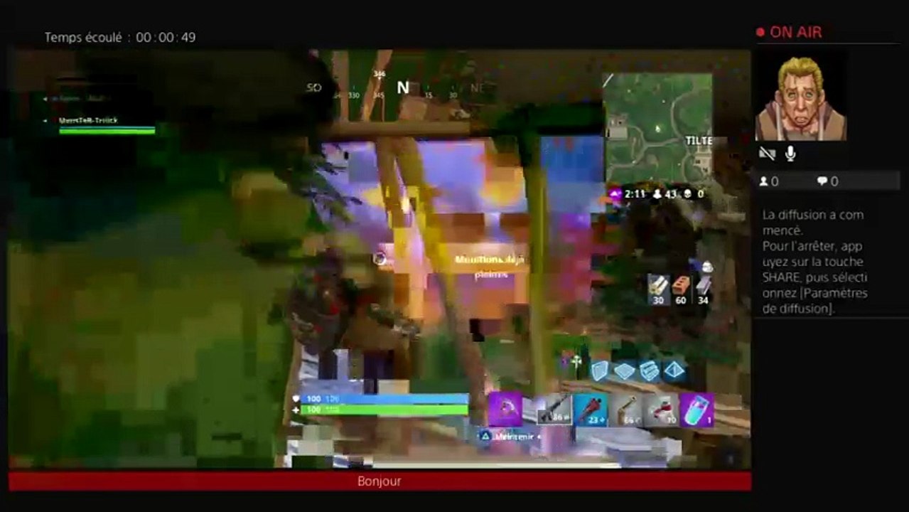 Fortnite (11)