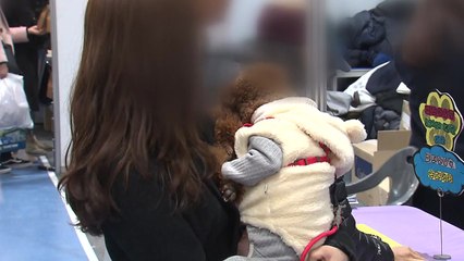 반려견 키우는 4명중 1명 '알레르기' 경험 / YTN