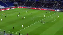 Wahbi Khazri  Goal HD - Lyon 0-1 Rennes 11.02.2018