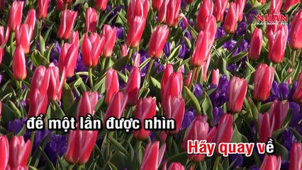 Con Yêu Remix (Karaoke Beat) - Tone Nữ