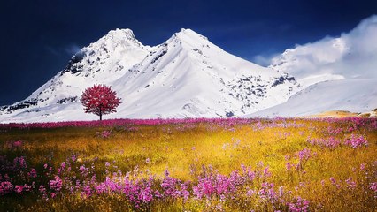 Πόλεμος και ειρήνη - Κατερίνα Σιάπαντα