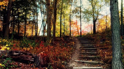 Σ' αγαπώ - Κατερίνα Σιάπαντα