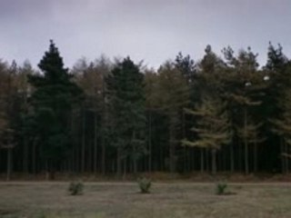 Monty python