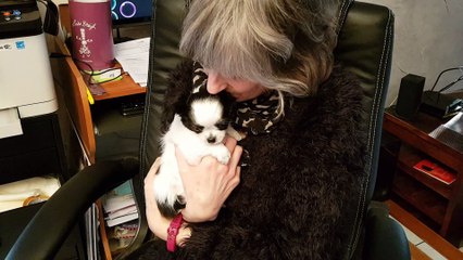 Nouage 9 02 18 6 calin