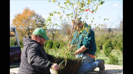 Hunters Can Make Money On Their Hunting land..Planting Trees