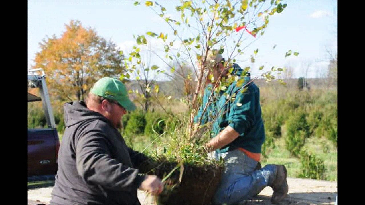 Hunters Can Make Money On Their Hunting land..Planting Trees