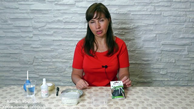 ПОСЕВ БАКЛАЖАНОВ БЕЗ ЗЕМЛИ!ОТЛИЧНЫЙ СПОСОБ!