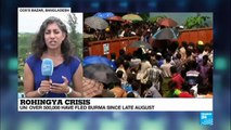 Rohingya Crisis: 
