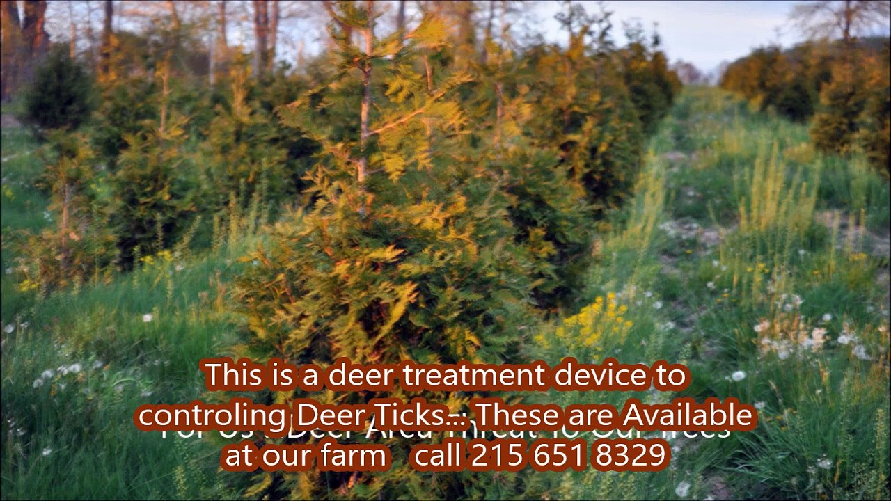 I use a 338 to kill deer...Yes its overkill.....