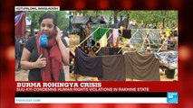 Rohingya crisis: 