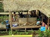Palm oil, an ecological disaster-Report-En-France24