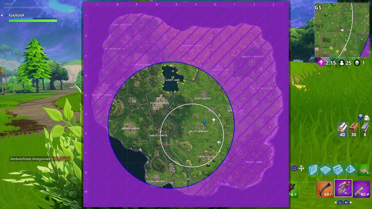 Fortnite_20180211121823