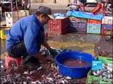 Morocco's fishing community struggles