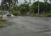 Cyclone Gita Brings Flooding to Samoa