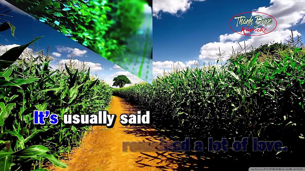 Karaoke Nhạc Chế | Don't Say Goodbye | Đừng Nói Xa Nhau | Phiên Bản Anh - Việt | Đặng Bá Đạo