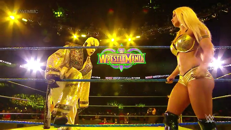 WWE Mixed Match challenge