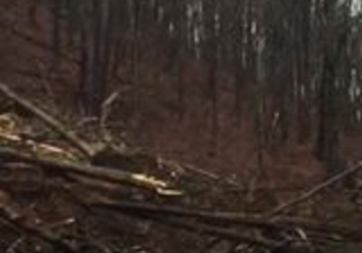 Landslide Blocks Kentucky Highway