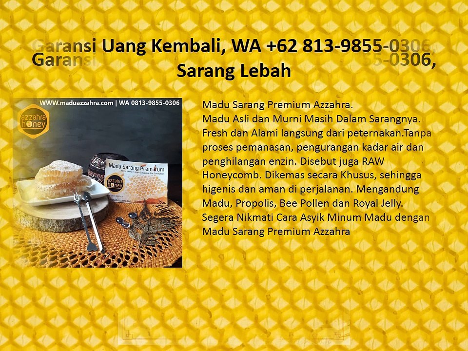 Garansi Uang Kembali, WA +62 813-9855-0306, Sarang Lebah