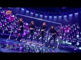 【TVPP】SISTAR - Hush, 씨스타 - 허쉬 @ 400th Special, Show Music Core Live