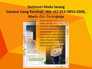 Garansi Uang Kembali, WA +62 813-9855-0306, Madu dan Sarangnya