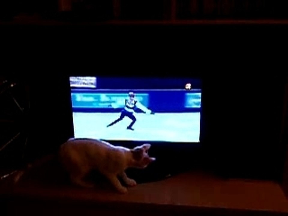Nemo regarde le patinage artistique