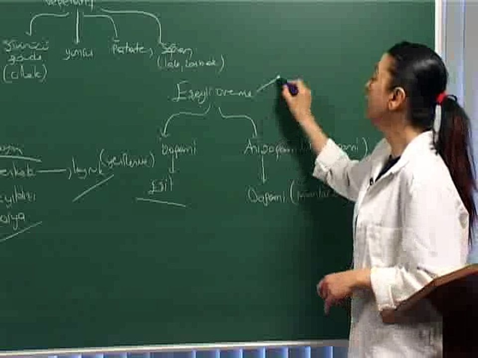 ygs lys biyoloji-Ureme GeLisme.1