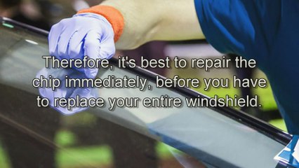Windshield Chip Repair