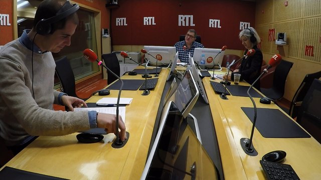 Les chauves-souris pourraient détenir le secret de l'immortalité - Les inattendus de Cyprien Cini