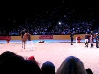 4 ecole d'art equestre de bercy