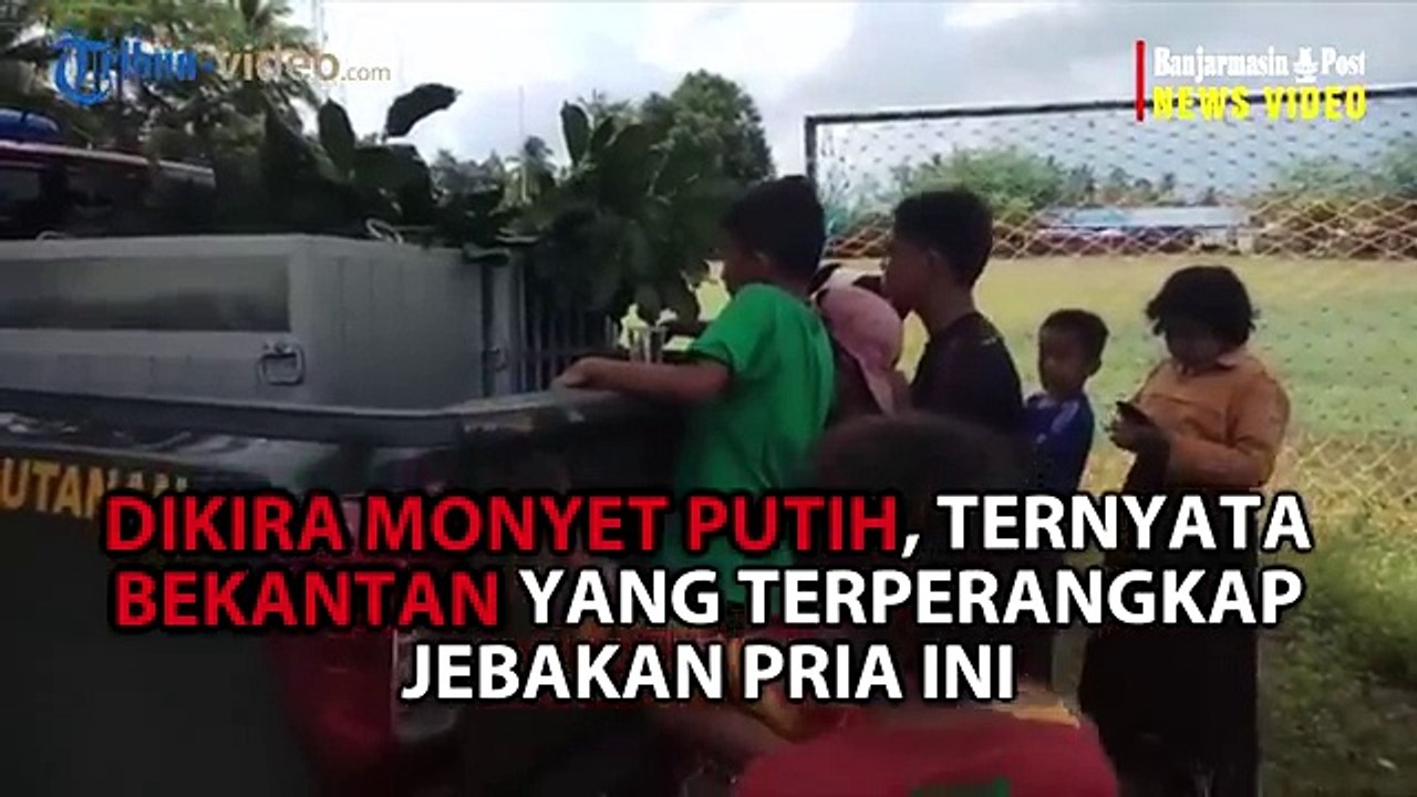 Dikira_Monyet_Putih__Tak_Tahunya_Binatang_yang_Masuk_Perangkap_Bikin_Pria_Ini_Terkejut