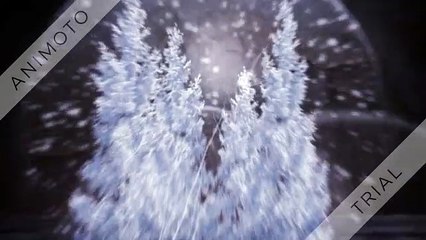 Elephant Hills Camp Thailand