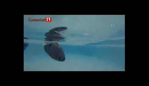 Su altının yeni kaşifi: Akıllı robot balık