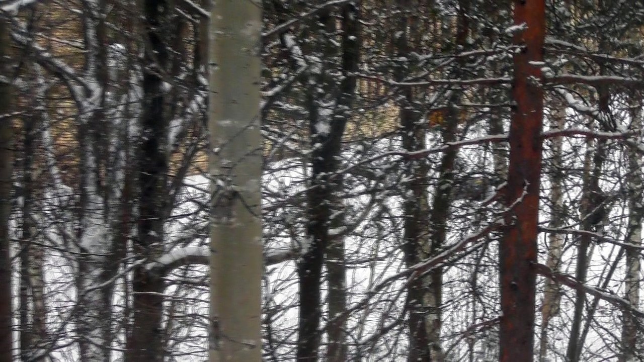 Feb 12 2018 DL10