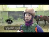 MBC 설특집 다큐멘터리 - 말을 처음에 어떻게 길들일까?! 위험천만한 현장 대공개! 20140201