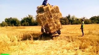 Indian Funny Videos - Funny videos Whatsapp Funny Videos 2017 of February