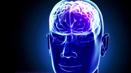 Santé - Notre cerveau est-il hyperconnecté ?